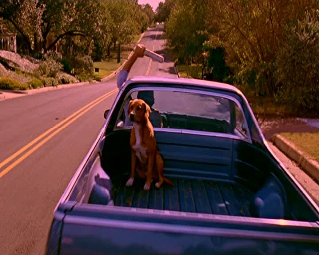 Bir Dalavere Öyküsü Fotoğrafı