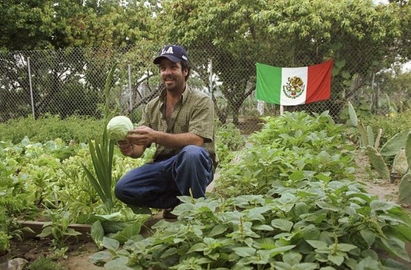 The Garden Fotoğrafı