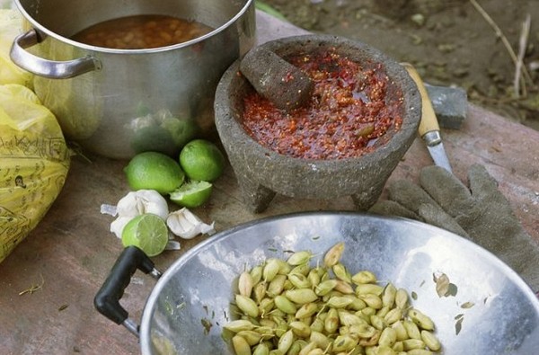 The Garden Fotoğrafı