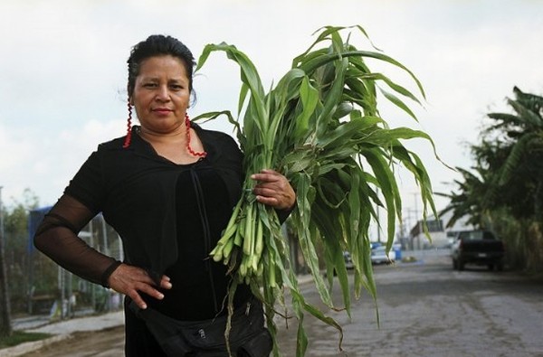 The Garden Fotoğrafı