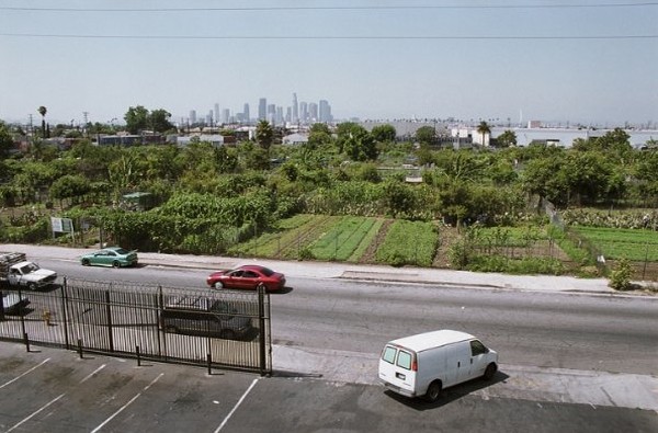 The Garden Fotoğrafı