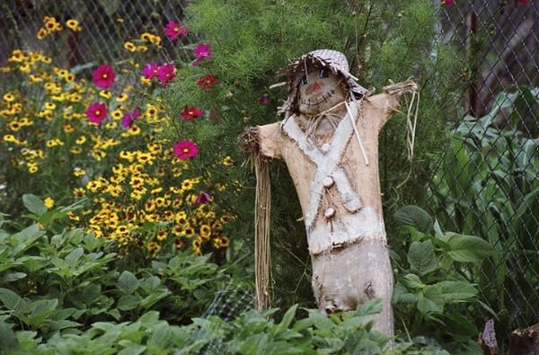 The Garden fotoğrafı