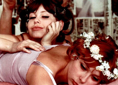 Papatyalar Fotoğrafı