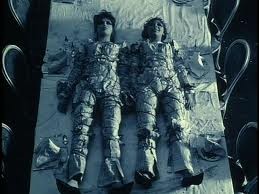 Papatyalar fotoğrafı