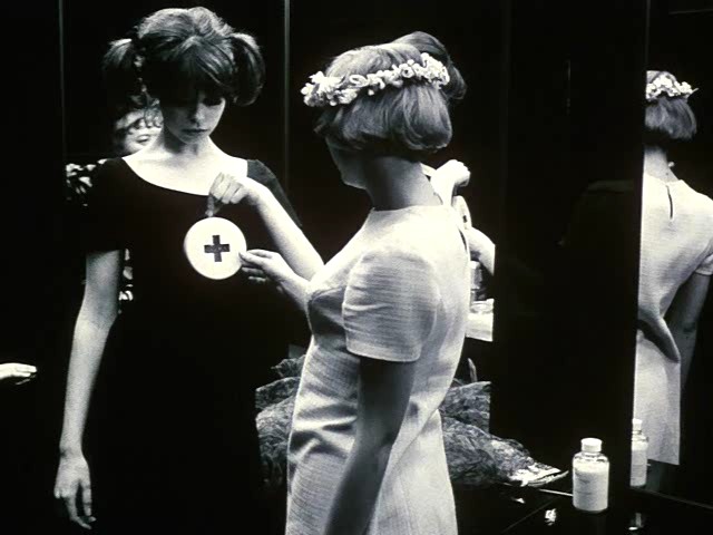 Papatyalar fotoğrafı