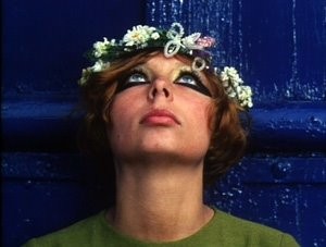 Papatyalar Fotoğrafı