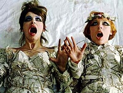 Papatyalar Fotoğrafı