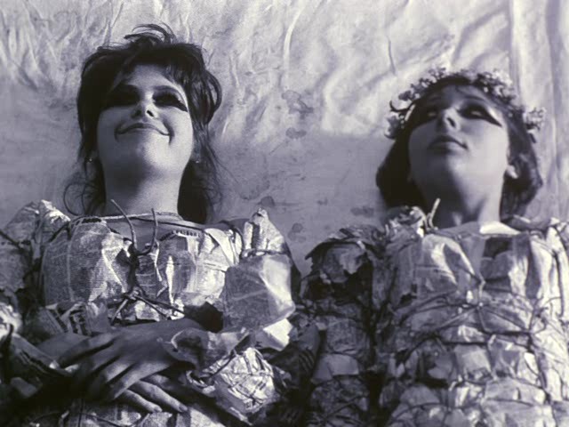 Papatyalar Fotoğrafı