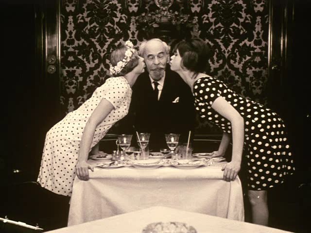 Papatyalar Fotoğrafı