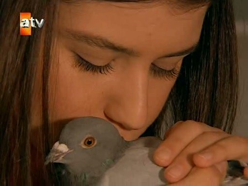 Aşka Sürgün Fotoğrafı