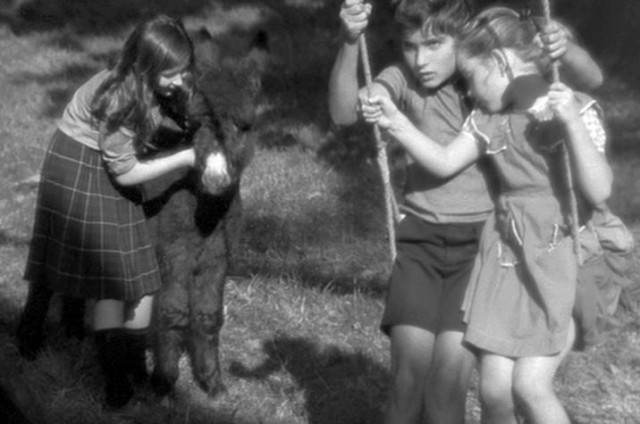 Rastgele Balthazar Fotoğrafı