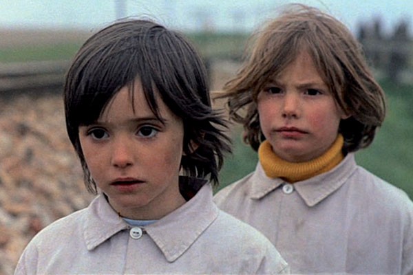 Arı Kovanının Ruhu fotoğrafı