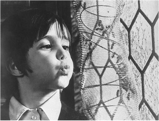 Arı Kovanının Ruhu fotoğrafı