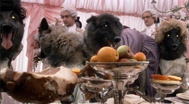 Kurtlar Sofrası fotoğrafı