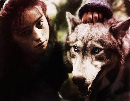 Kurtlar Sofrası fotoğrafı