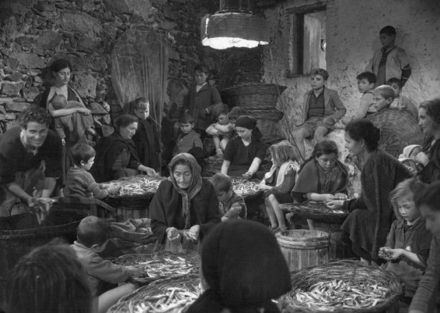 Yer Sarsılıyor fotoğrafı