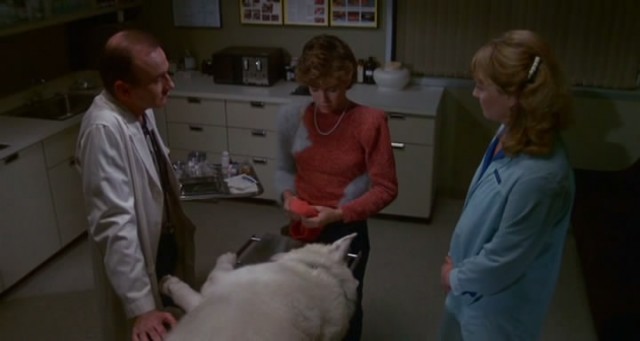 Beyaz Köpek Fotoğrafı