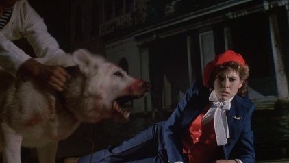 Beyaz Köpek fotoğrafı