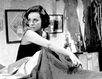 Bir Oda Hizmetçisinin Günlüğü Fotoğrafı