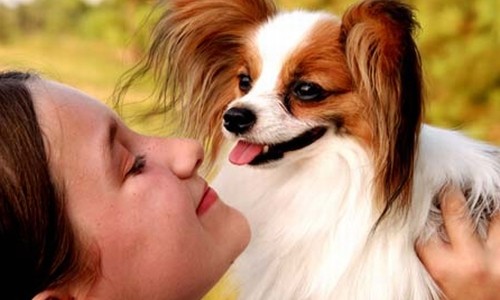 The Bracelet Of Bordeaux Fotoğrafı