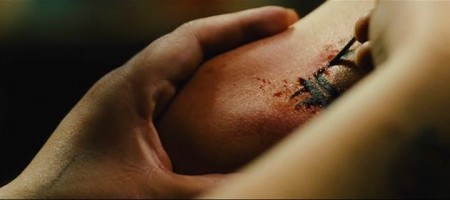 Aslan İni Fotoğrafı