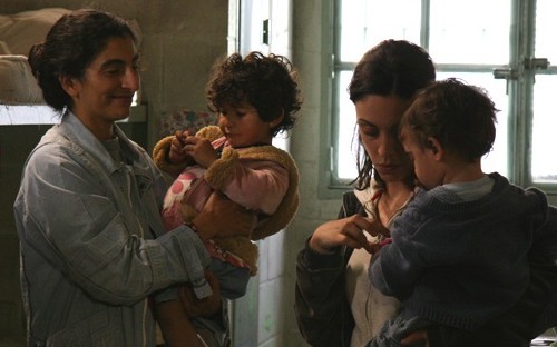 Aslan İni Fotoğrafı