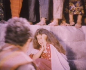 Çalıkuşu Fotoğrafı