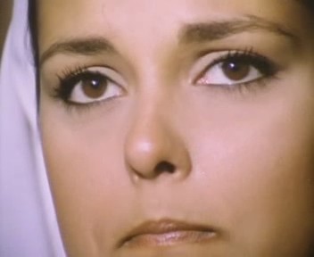 Çalıkuşu Fotoğrafı