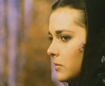 Çalıkuşu Fotoğrafı