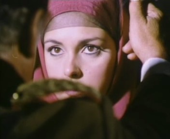 Çalıkuşu Fotoğrafı