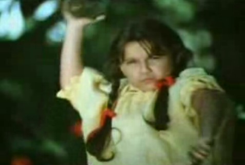 Çalıkuşu Fotoğrafı