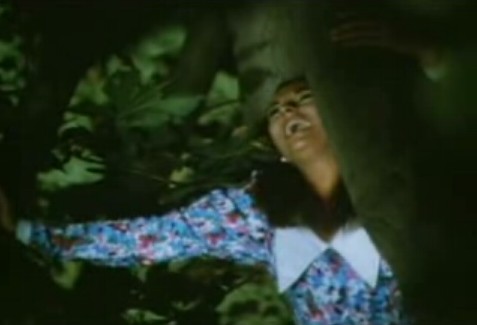 Çalıkuşu Fotoğrafı