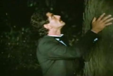 Çalıkuşu Fotoğrafı