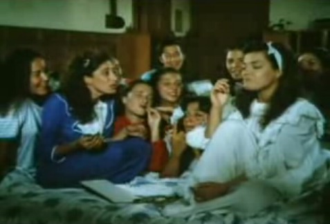 Çalıkuşu Fotoğrafı