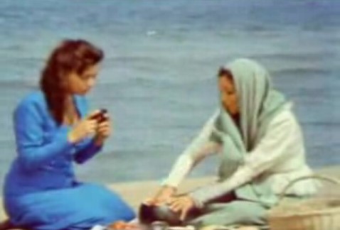 Çalıkuşu Fotoğrafı