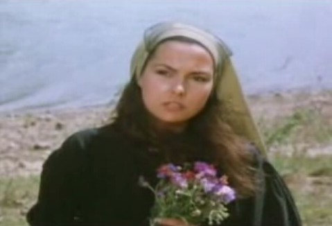 Çalıkuşu Fotoğrafı