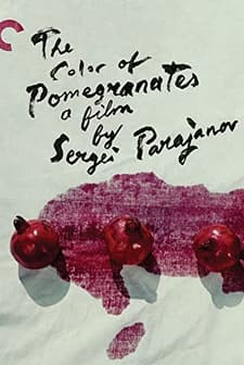 Narın Rengi (1969) afişi