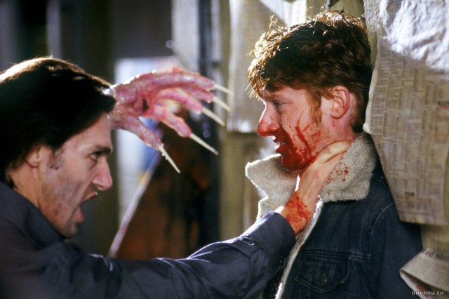 Cold And Dark fotoğrafı