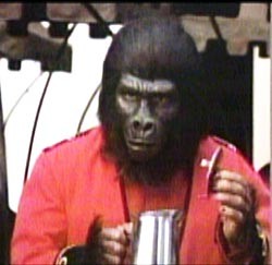 Maymunlar Gezegeninde isyan fotoğrafı