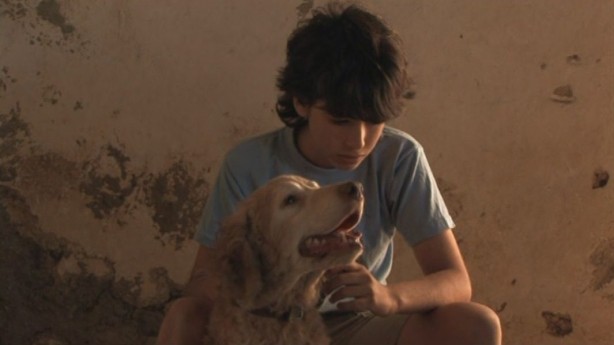 In Your Absence Fotoğrafı