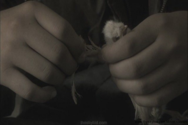 In Your Absence Fotoğrafı