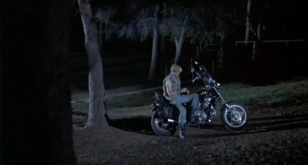 Gece Yaratıkları Fotoğrafı