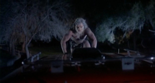 Gece Yaratıkları Fotoğrafı