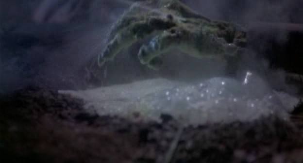 Gece Yaratıkları Fotoğrafı