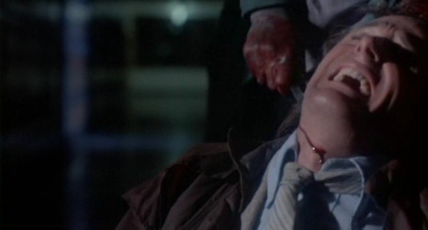 Gece Yaratıkları Fotoğrafı