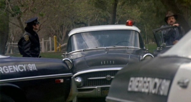 Gece Yaratıkları Fotoğrafı