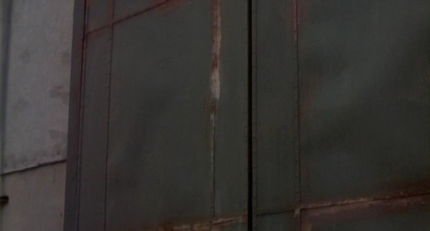 Gece Yaratıkları Fotoğrafı