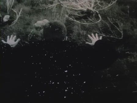 Müze Ziyaretçisi fotoğrafı