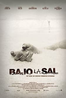 Bajo La Sal (2008) afişi
