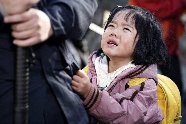 Cherry Tomato Fotoğrafı